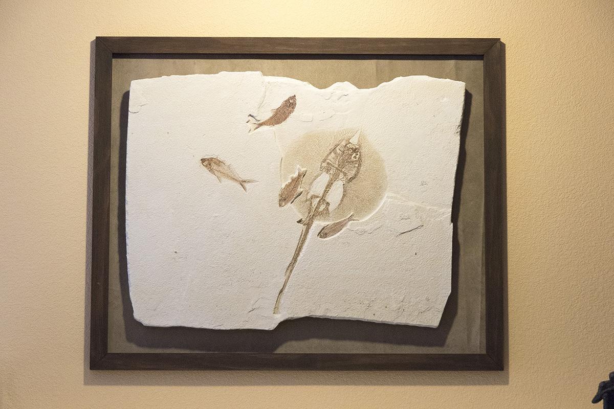 Stingray Fossil with Fish